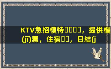 KTV急招模特，提供機(jī)票，住宿，日結(jié)